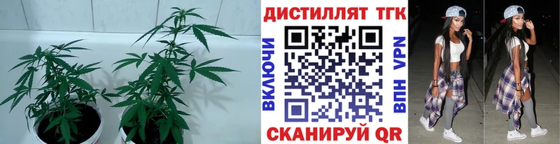 Дистиллят ТГК гашишное масло  Альметьевск 