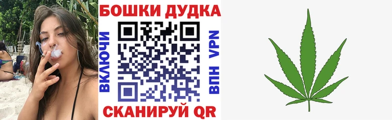 mega зеркало  Альметьевск  Конопля ГИДРОПОН 